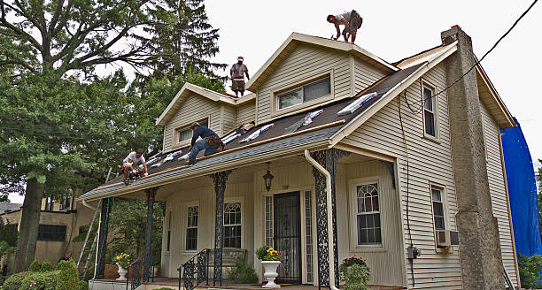 Best Local Roofing Companies  in Davenport, WA